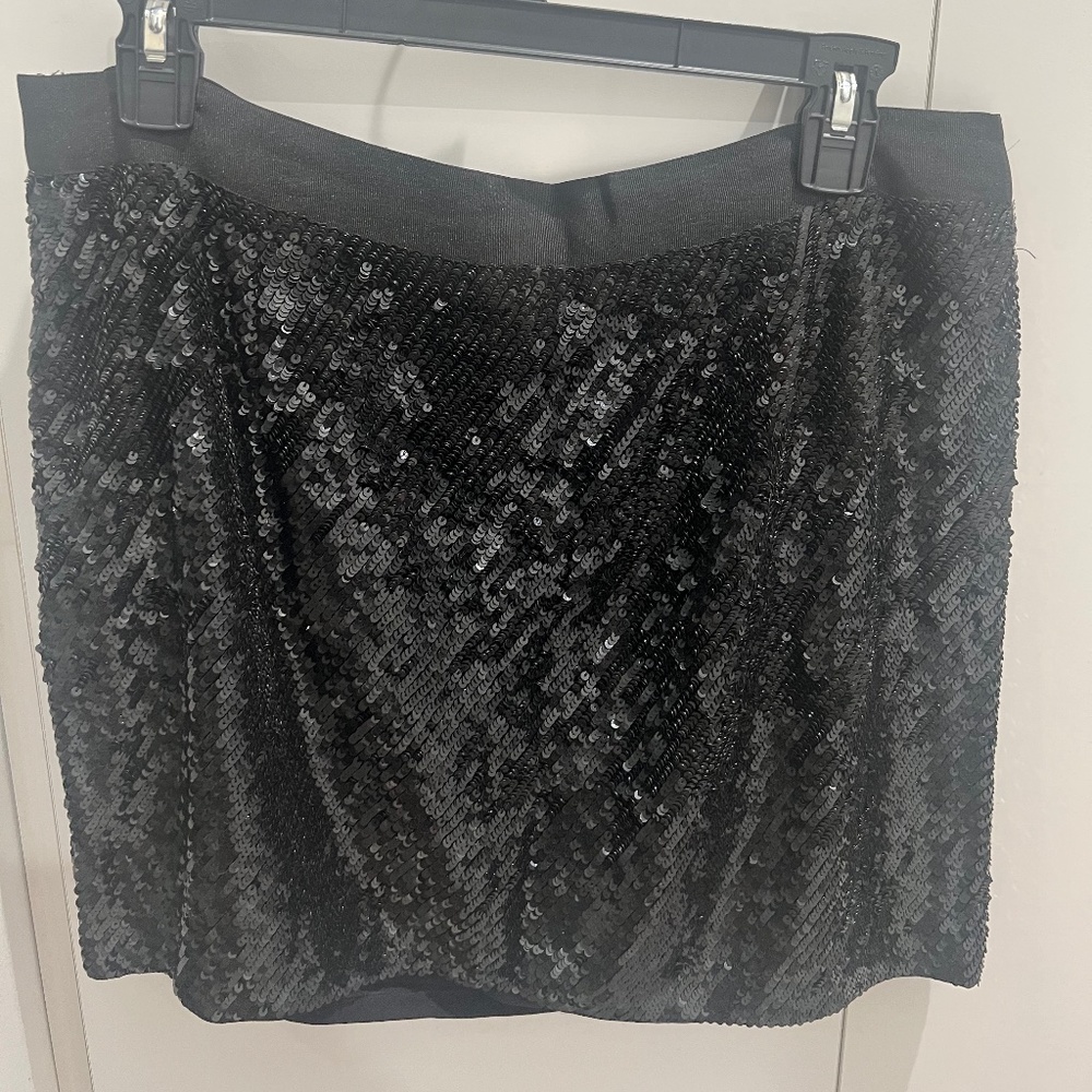 Haute Hippie Sequin Skirt